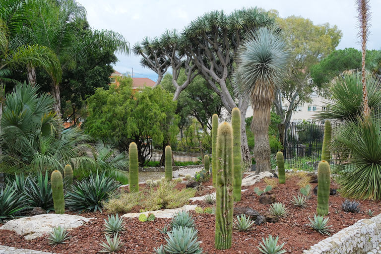 Alameda Gardens